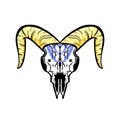 Cartoon Illustration Logo of an Animal Skull Like a Ram or Deer Royalty Free Stock Photo