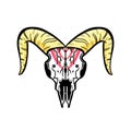 Cartoon Illustration Logo of an Animal Skull Like a Ram or Deer