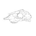 Cartoon Illustration Logo of an Animal Skull Like a Ram or Deer