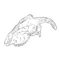 Cartoon Illustration Logo of an Animal Skull Like a Ram or Deer