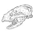 Cartoon Illustration Logo of an Animal Skull Like a Ram or Deer Royalty Free Stock Photo