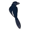 Cartoon illustration, a magpie bird sits with its back to us with its wings folded, isolated object on a white background, vector Royalty Free Stock Photo