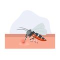 A  cartoon illustration of mosquito on human skin sucking blood Royalty Free Stock Photo