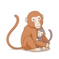 Mother monkey hug the baby monkey.