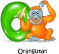 Cartoon illustration of O Letter for Orangutan