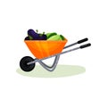 Wheelbarrow full of fresh vegetables. Ripe eggplants, cucumbers and zucchini. Organic farm food. Flat vector design