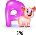 Cartoon illustration P of letter for Pig Royalty Free Stock Photo