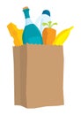 Paper bag with some groceries