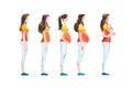 Cartoon illustration of pregnancy stages. Side view image of pregnant woman showing changes in her body Royalty Free Stock Photo