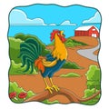 Cartoon illustration the rooster crows Royalty Free Stock Photo