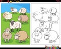 Cartoon sheep farm animal characters coloring page Royalty Free Stock Photo