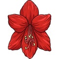 Amaryllis Flower Cartoon Colored Clipart