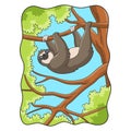 Cartoon illustration a sloth is hanging on a tree casually to enjoy the hot sun