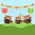 Cartoon illustration of three cute red pandas with balloons and falgs on green grass.