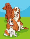 cartoon purebred spaniel dogs comic characters group Royalty Free Stock Photo