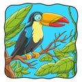 Cartoon illustration toucan bird perched