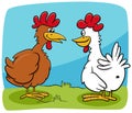 Cartoon two hens farm birds characters talking Royalty Free Stock Photo
