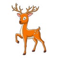 Cartoon illustration walking deer