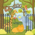 Wild animals in zoo park. Giraffe, elephant, parrot, lion, sloth, koala bear, flamingo, crocodile and tiger. Nature