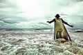 Cartoon illustration of a woman walking alone in the sea in front of a dramatic cloudy sky with divine light, surrealistic marine