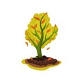 Flat vector icon of young apple tree with red-orange leaves. Autumn season. Gardening theme. Natural landscape element Royalty Free Stock Photo