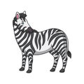 Cartoon illustration zebra walking in the forest and looking back