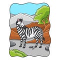 cartoon illustration zebra walking in the forest under the mountain