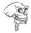 Cartoon image of ancient skull Royalty Free Stock Photo