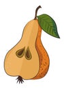 Cartoon image of half pear