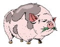 Cartoon image of huge pig