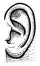 Cartoon image of human ear
