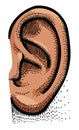 Cartoon image of human ear