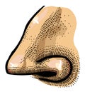 Cartoon image of human nose Royalty Free Stock Photo
