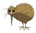 Cartoon image of kiwi bird Royalty Free Stock Photo