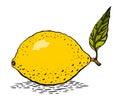 Cartoon image of lemon Royalty Free Stock Photo