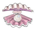 Cartoon image of oyster with pearl