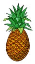 Cartoon image of pineapple