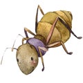 Cartoon insect ant watercolor illustration.