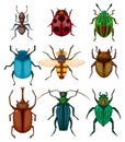 Cartoon insect bug icon