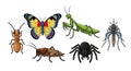 Cartoon Insect Collection featuring Various Species on a White Background Royalty Free Stock Photo