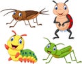 Cartoon insect collection set