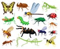 Cartoon insects. Butterfly, beetle, spider, ladybug and caterpillar, wild forest entomology insects. Cute nature Royalty Free Stock Photo