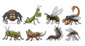 Cartoon Insects Collection Displaying a Spider, Mantis, Wasp, Scorpion, and More Royalty Free Stock Photo