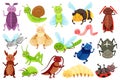 Cartoon insects, cute garden bugs, dragonfly, ladybug, spider. Funny snail, bumblebee, dragonfly, smiling insect