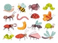 Cartoon insects. Isolated insect, children little wild bee, bug and butterfly. Fly cute wasp, gardening caterpillar and Royalty Free Stock Photo