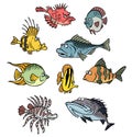 cartoon isolated aquarium reef characters funny colorful set sea fish