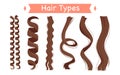 Cartoon isolated group of light strands with different curls and structure, straight and frizzy, wavy and afro kinky