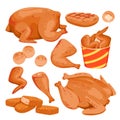 Cartoon isolated hot roasted fillet from breasts, tasty spicy drumsticks and wings in box, nuggets and grilled chicken