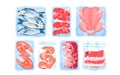 Cartoon isolated protein food products in supermarket packages collection, frozen or fresh beef steak and fish, chicken