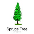 Cartoon isolated spruce summer tree on a white background icon, outdoor park with branch, leafs on green grass vector Royalty Free Stock Photo